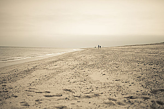 远景,两个人,漫步,海滩,特鲁罗,马萨诸塞,科德角,美国
