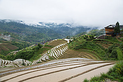 桂林龙胜梯田