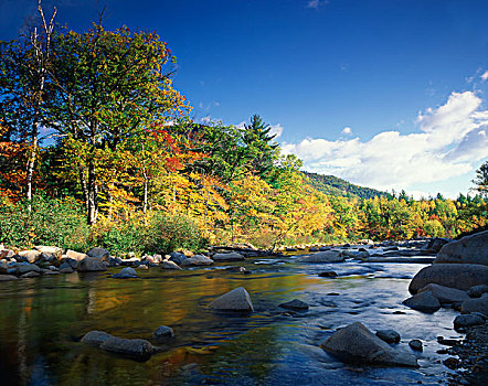 美国,新英格兰,新罕布什尔,怀特山国家森林,秋色,急流,大幅,尺寸