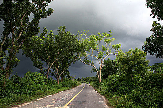 道路,孟加拉,六月,2008年
