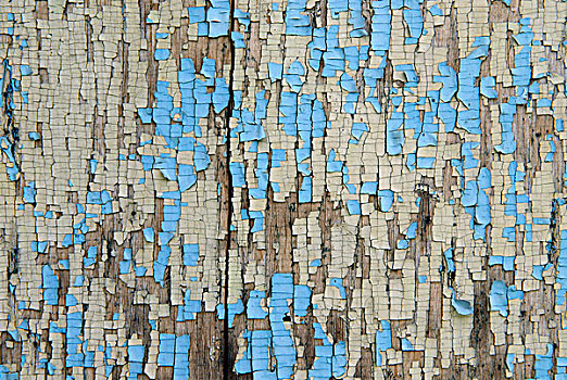 脱落,涂绘,木头,溪流,不列颠哥伦比亚省,加拿大,北美
