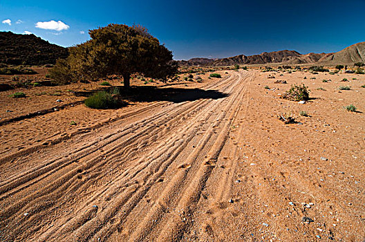 沙,通过,里希特斯韦德国家公园,北开普,南非,非洲