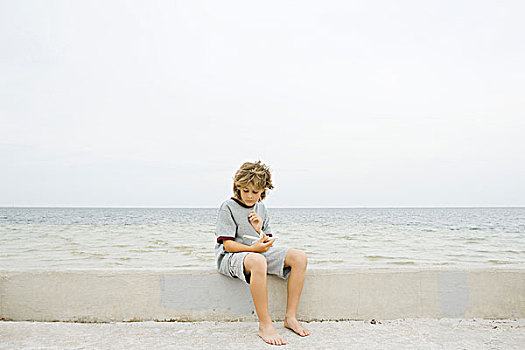 男孩,坐,矮墙,海滩,俯视,海星