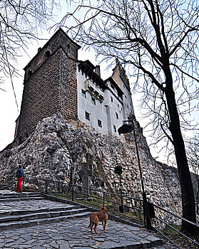 罗马尼亚布朗吸血鬼城堡