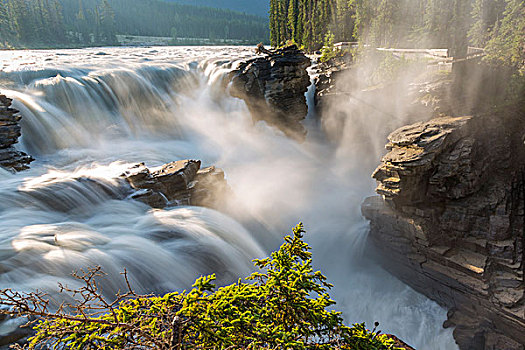 加拿大,艾伯塔省,碧玉国家公园,阿萨巴斯卡瀑布