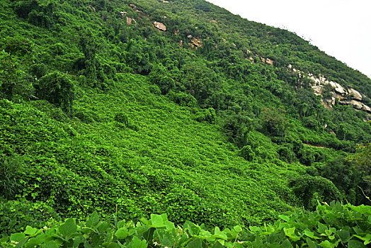 河北省石家庄平山县藤龙山风景区