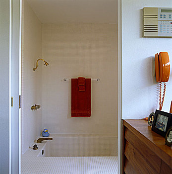 淋浴间,特征,浴缸,浴室