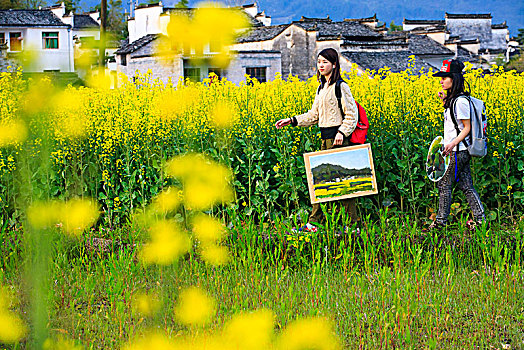 写生,绘画,田园,春色,油菜花,女孩