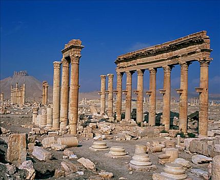 柱廊,帕尔迈拉,叙利亚