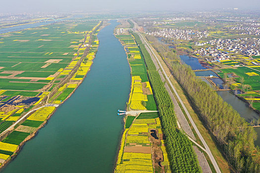 田园,油菜花