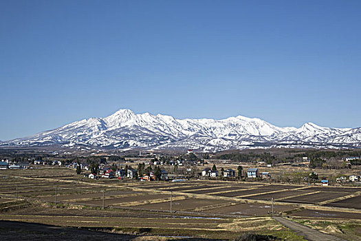 积雪,山,新滹,日本