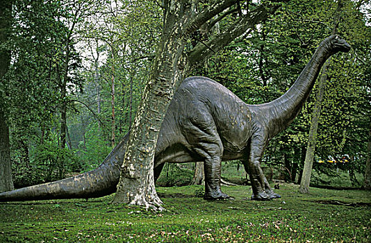 巨大,食草动物,迟,侏罗纪,时期
