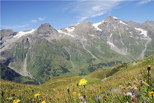 花地,阿尔卑斯山