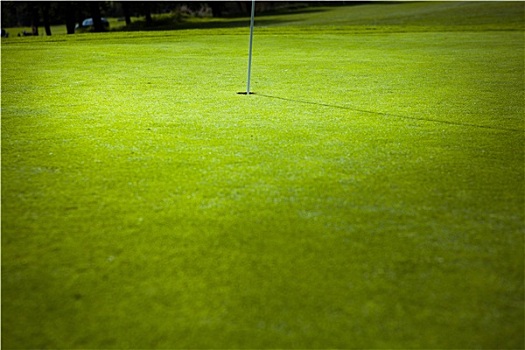 高尔夫旗,绿色,洞