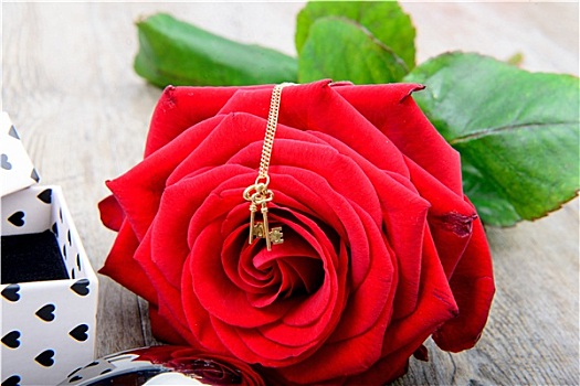 红玫瑰,小,珠宝,情人节