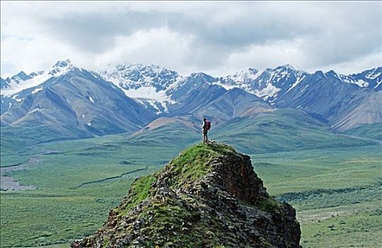 远足者,站立,正面,阿拉斯加山脉,德纳里峰国家公园,阿拉斯加,美国