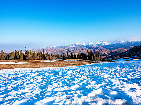 新疆冬季草原