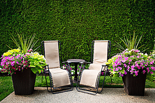 两个,椅子,框架,花,绿色,树篱,邀请,休息,萨里,不列颠哥伦比亚省,加拿大