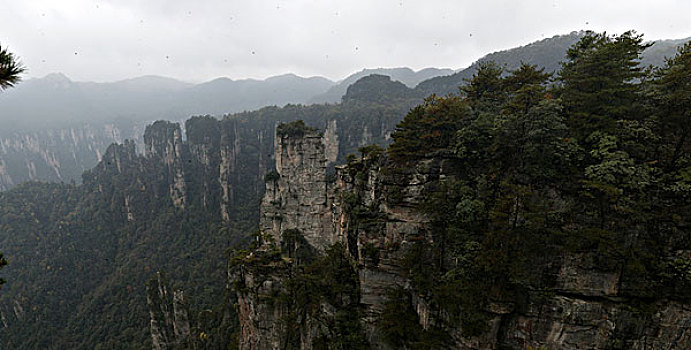 湖南张家界天子山国家森林公园