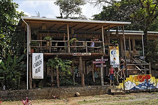 咖啡店,瓜达拉哈拉,阿雷纳尔,区域,哥斯达黎加