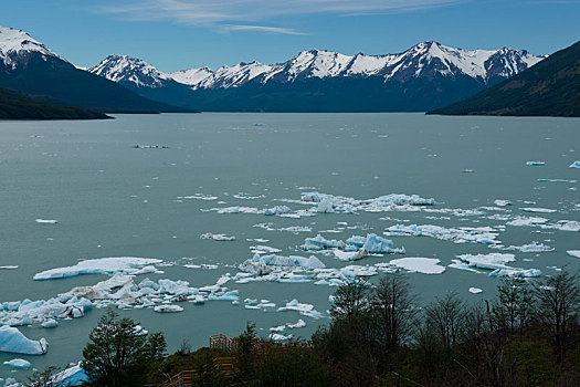 冰山,漂浮,阿根廷湖