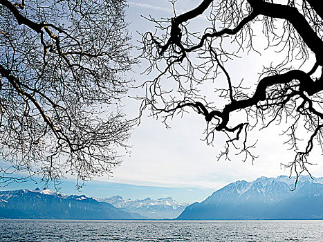 风景,莱曼,湖,瑞士