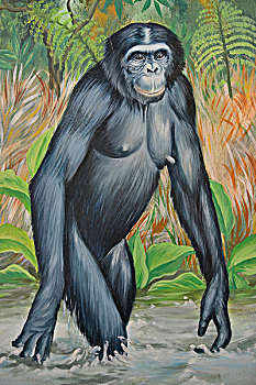 涂绘,倭黑猩猩,标识,入口,金沙萨,刚果