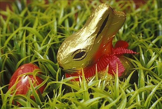 复活节巧克力兔,红色,复活节彩蛋,草丛