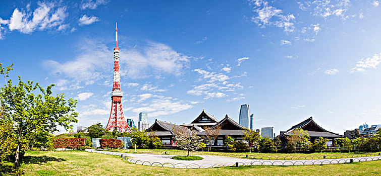 东京塔,公园,高层建筑,背景,东京港区,东京,日本
