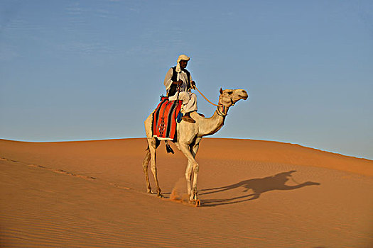 男人,骆驼,麦罗埃,努比亚,尼罗河,苏丹,非洲