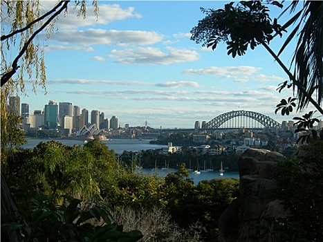 悉尼,看,歌剧院,港口