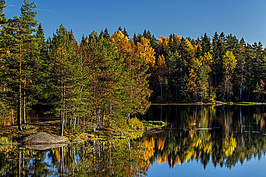 松树,岛屿,蓝天,反射,湖,挪威