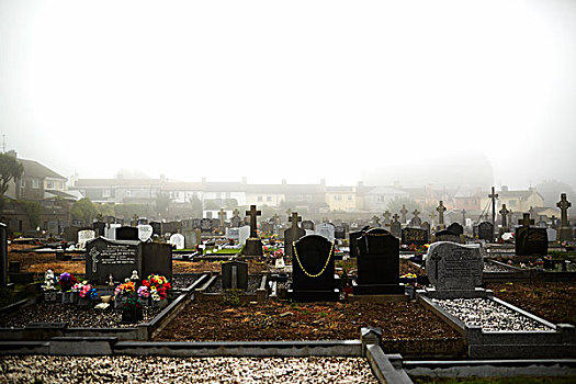 模糊,墓地,石头,特拉莫尔,沃特福德郡,爱尔兰