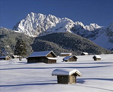 冬季风景,靠近,山峦,上巴伐利亚,德国