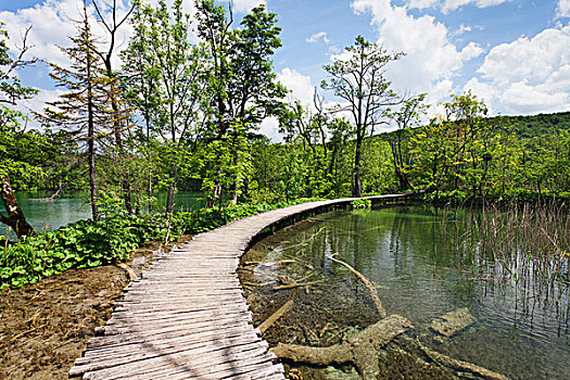 木板路,湖,十六湖国家公园,世界遗产,克罗地亚,欧洲
