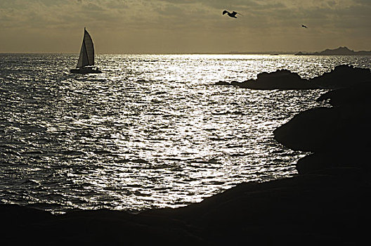 海岸,帆船,逆光,布列塔尼半岛,法国