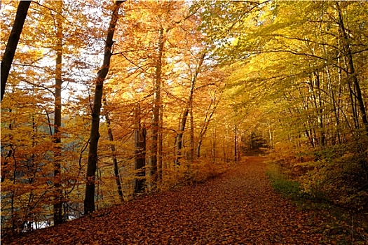 秋季,乌特弗兰肯,拜恩州,德国