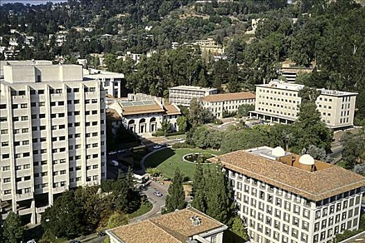 大学,加利福尼亚,柏克利