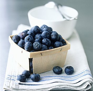 扁篮,新鲜,蓝莓