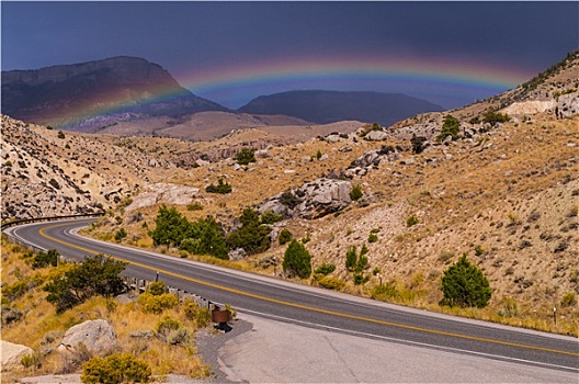 彩虹,上方,公路,大角羊,国家森林