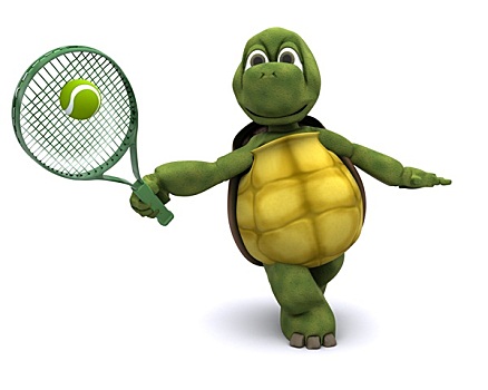 龟,玩,网球