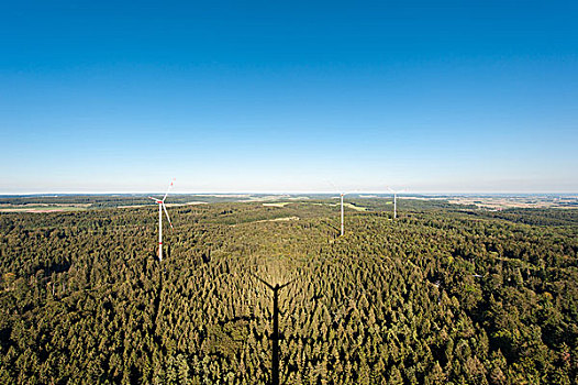 风电场,树林