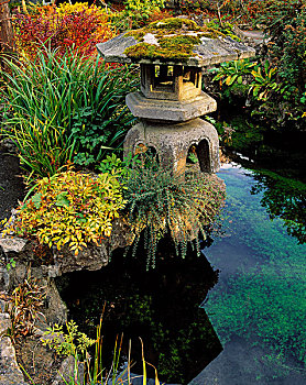 日本,花园,爱尔兰,日式灯笼