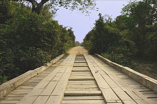 木桥,潘塔纳尔,世界遗产,生物保护区,巴西