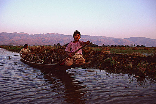 缅甸,茵莱湖,女人,操纵,独木舟