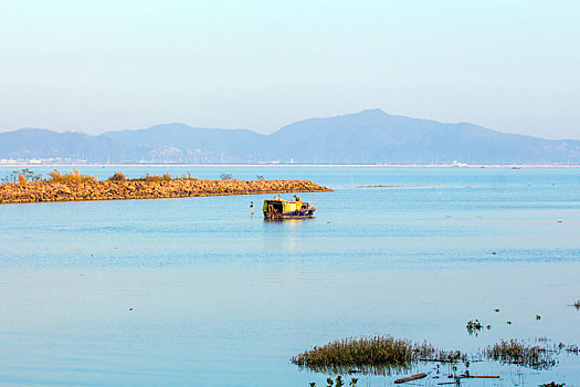 江门银湖湾湿地风光