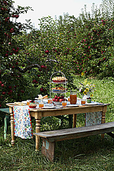 野餐桌,苹果园