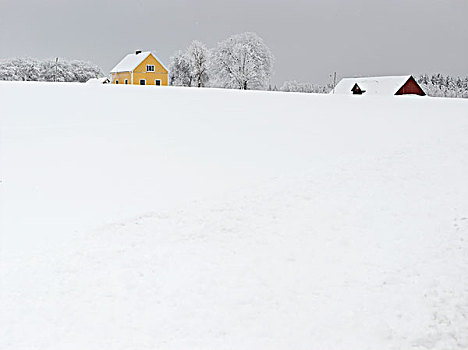 冬季风景,雪,遮盖,房子