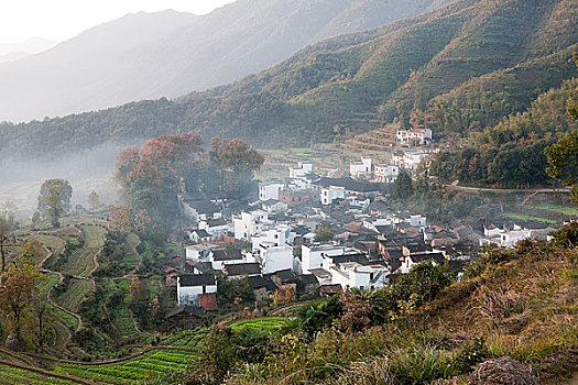 婺源江岭