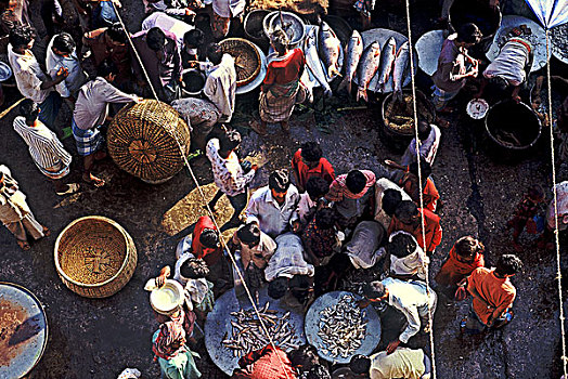 销售,鱼市,达卡,孟加拉